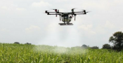 drone-pertanian-sprayer