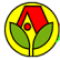 logo_auraseed-1